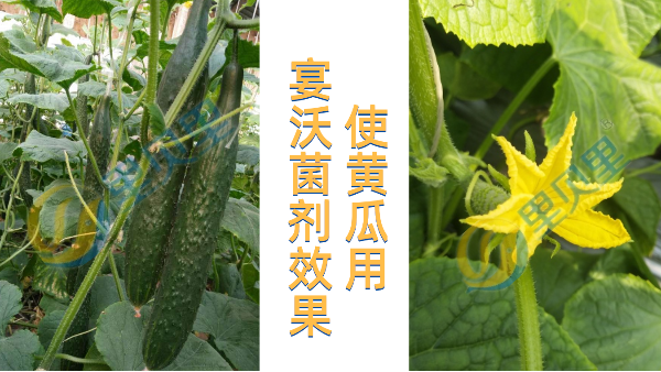 默認(rèn)文件1630651684511