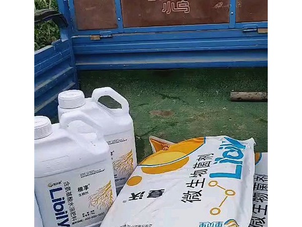 水溶肥廠家-用肥中