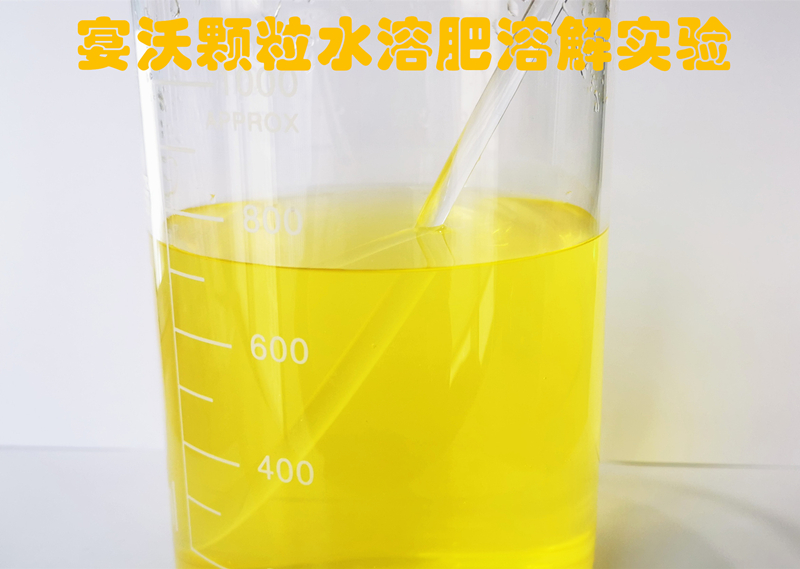 顆粒水溶肥溶解試驗