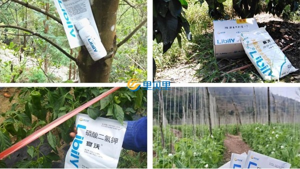 里貝里水溶肥怎么樣