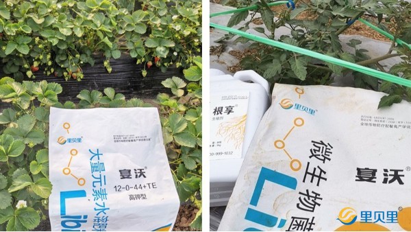 緊急！疫情影響，水溶肥備貨要趁早！
