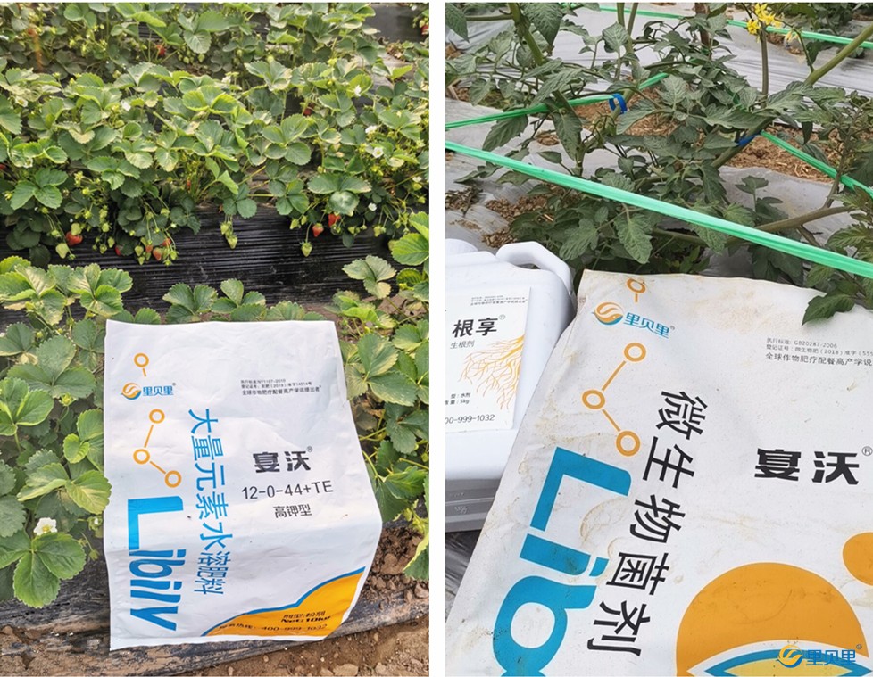 水溶肥宴沃-出貨圖