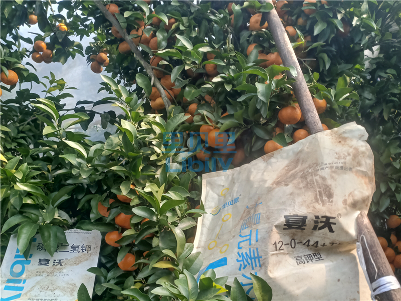 水溶肥廠家的選擇，經(jīng)銷商鄭總的案例