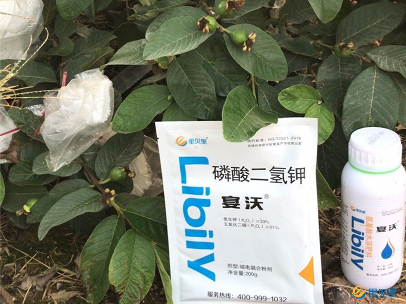 倒春寒-宴沃防寒修復套餐
