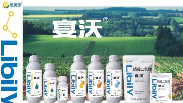 農(nóng)資小白怎么做好水溶肥？里貝里手把手教你入行!