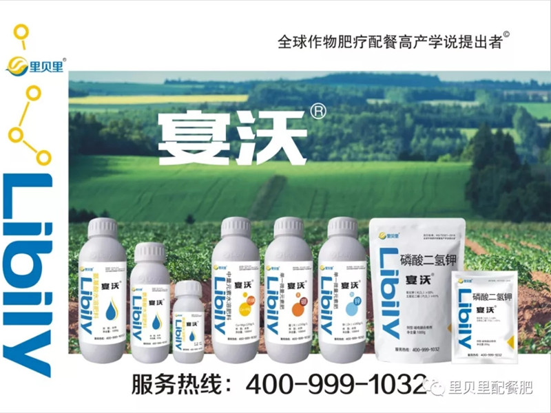 里貝里水溶肥廠家