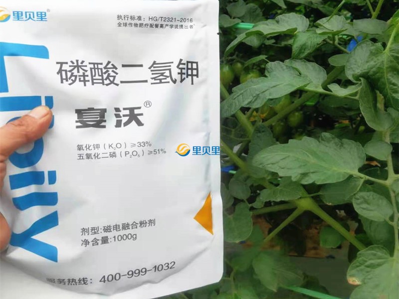 番茄用磷酸二氫鉀控旺怎么樣