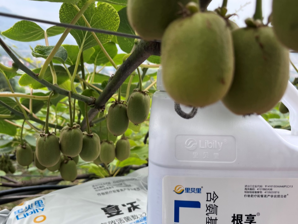 水溶肥廠(chǎng)家難選擇？只因缺少了這些知識(shí)
