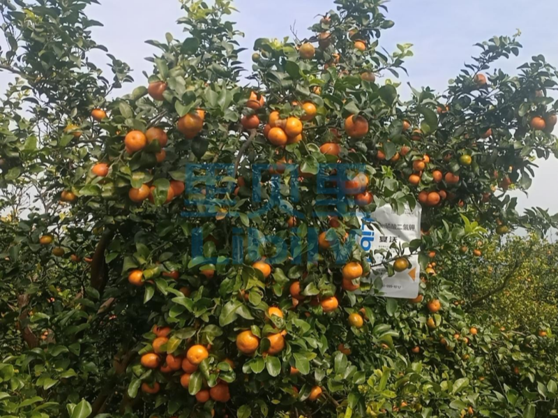 磷酸二氫鉀-宴沃廣西砂糖橘