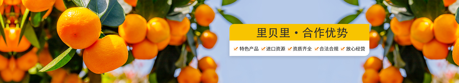 水溶肥代理-里貝里合作優(yōu)勢(shì)