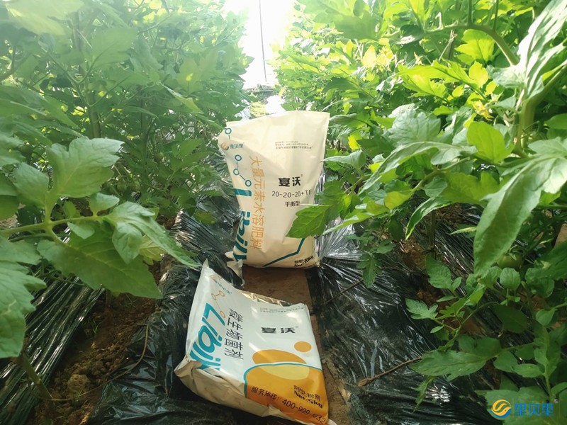 水溶肥料和水溶肥性復(fù)合肥
