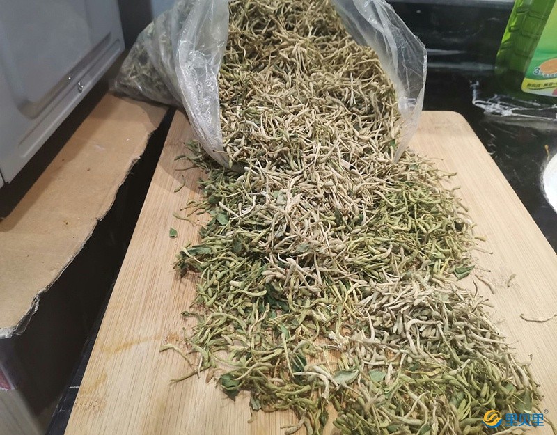 水溶肥宴沃在金銀花上使用