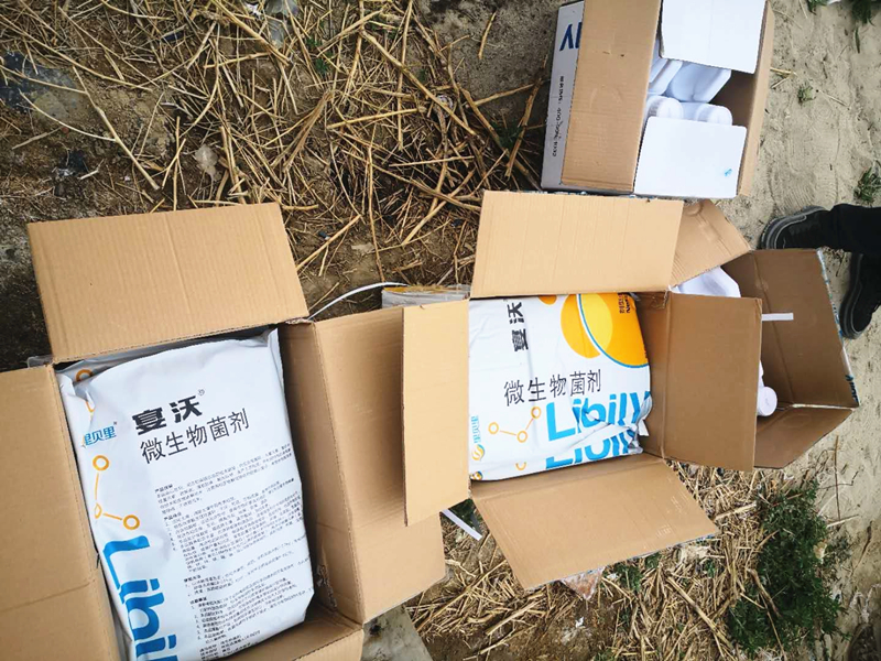 馬鈴薯專用肥哪家好