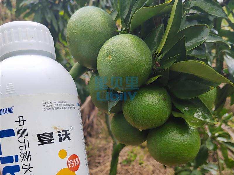 水溶肥選宴沃，種植戶的優(yōu)選品牌