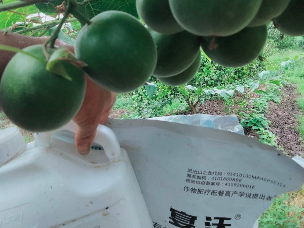 微生物菌劑為什么你用了沒效果？