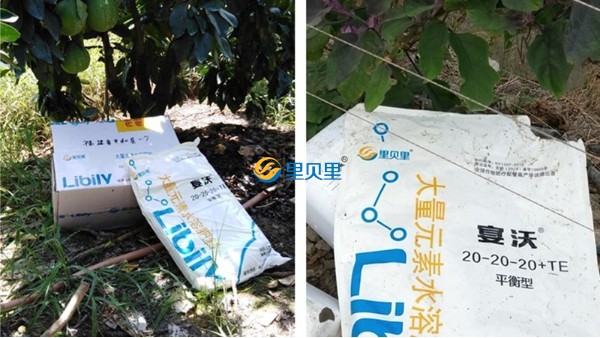 水溶肥為什么受歡迎？看完你就明白了