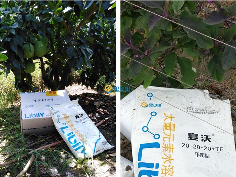 水溶肥為什么受歡迎