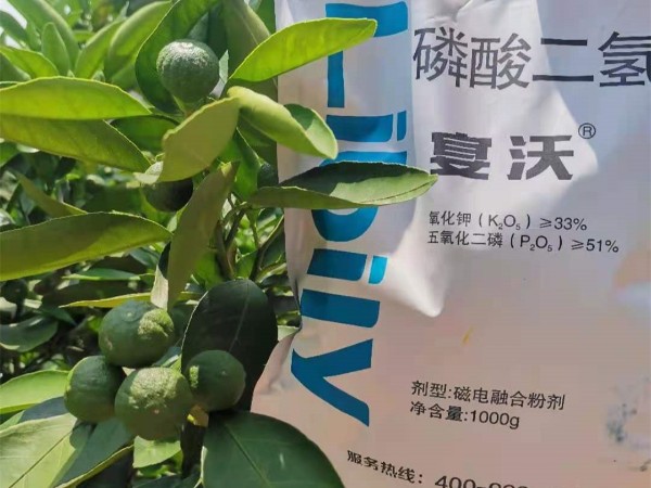 磷酸二氫鉀-宴沃柑橘