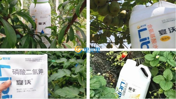 水溶肥價格可能再次受疫情影響？趕快備貨吧
