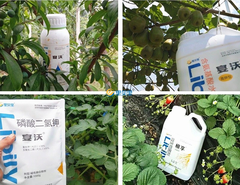 水溶肥價格-作物使用反饋