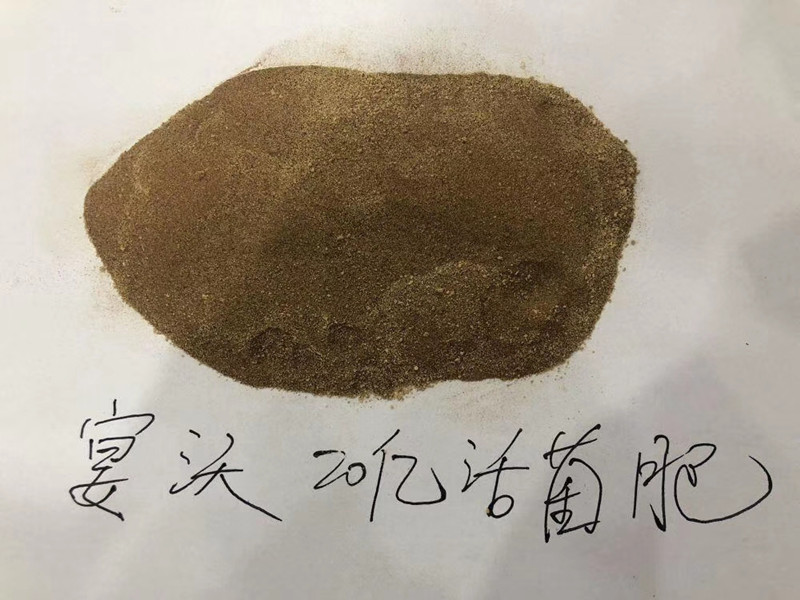 微生物菌劑哪家好