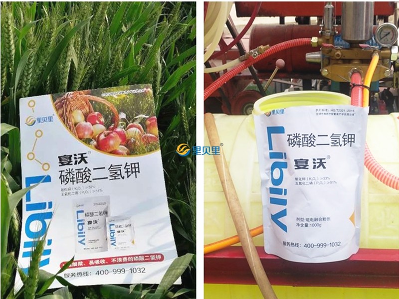 小麥追肥用什么肥料好