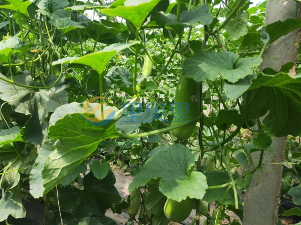 肥料選的好，經(jīng)銷沒煩惱！