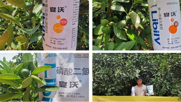 農(nóng)資想要做好，這5點(diǎn)一定要看！