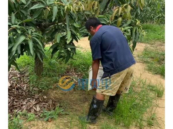 微生物菌劑哪家好？魏大哥選擇里貝里