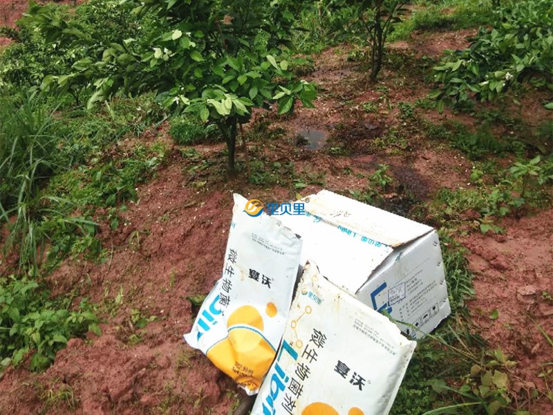 微生物菌劑宴沃在臍橙上使用