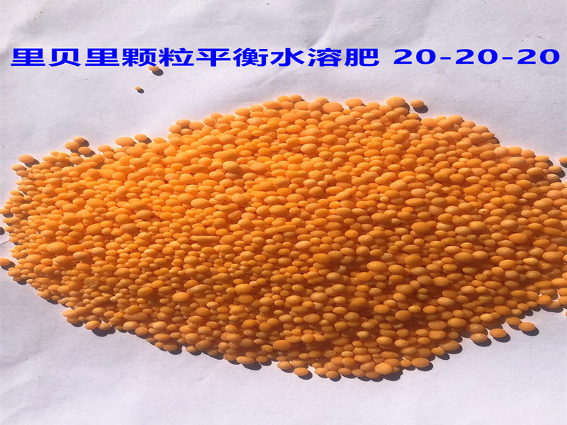 顆粒水溶肥-里貝里宴沃水溶肥廠家