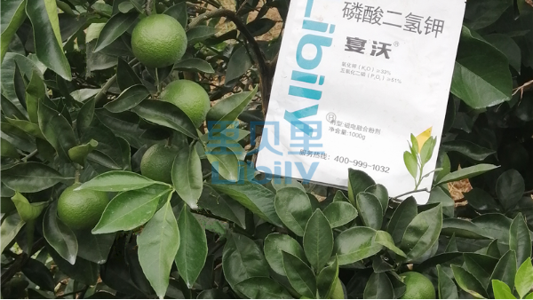 水溶肥哪家好？這一款不容錯(cuò)過(guò)