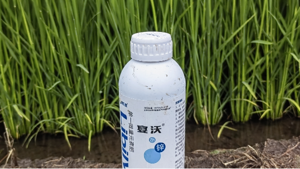 鋅肥-宴沃黑龍江水稻