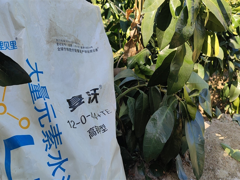 水溶肥-宴沃柚子