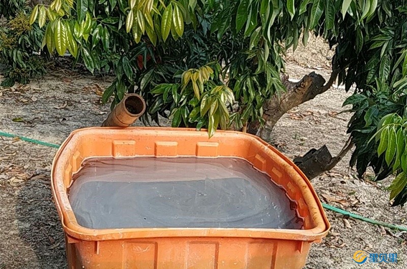 陰雨天施肥需要注意哪些