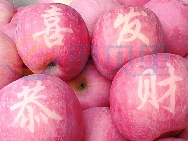 水印-微信圖片_20201019170153_副本