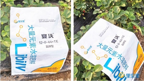 為什么這么多人看中這款水溶肥？