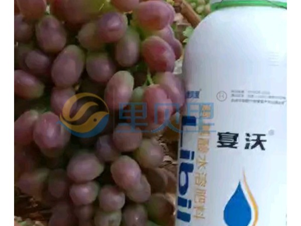 葡萄樹生長需要什么肥-宴沃