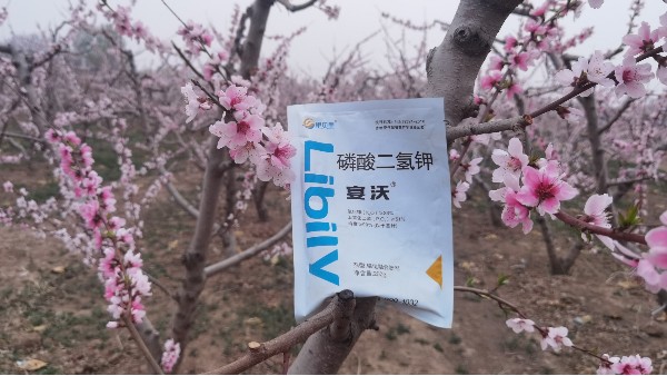 果樹(shù)施肥中，種植戶(hù)關(guān)注的痛點(diǎn)問(wèn)題