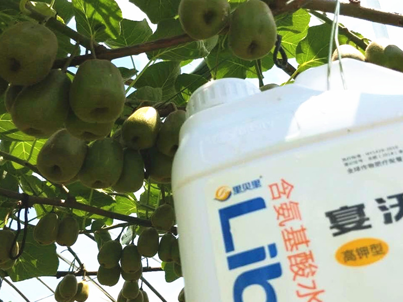 水溶肥廠家