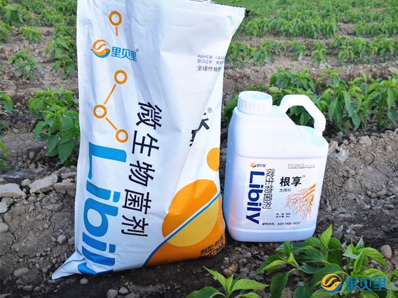 種植辣椒用什么肥料好