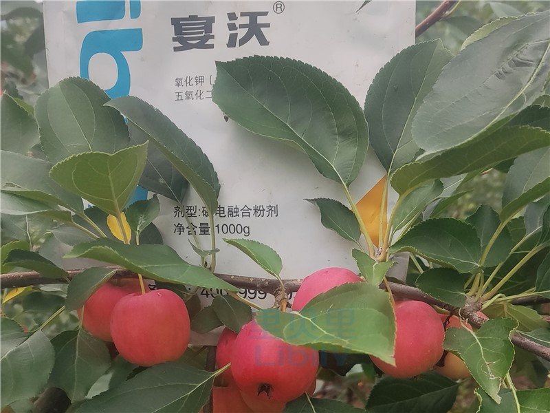 磷酸二氫鉀-宴沃蘋果