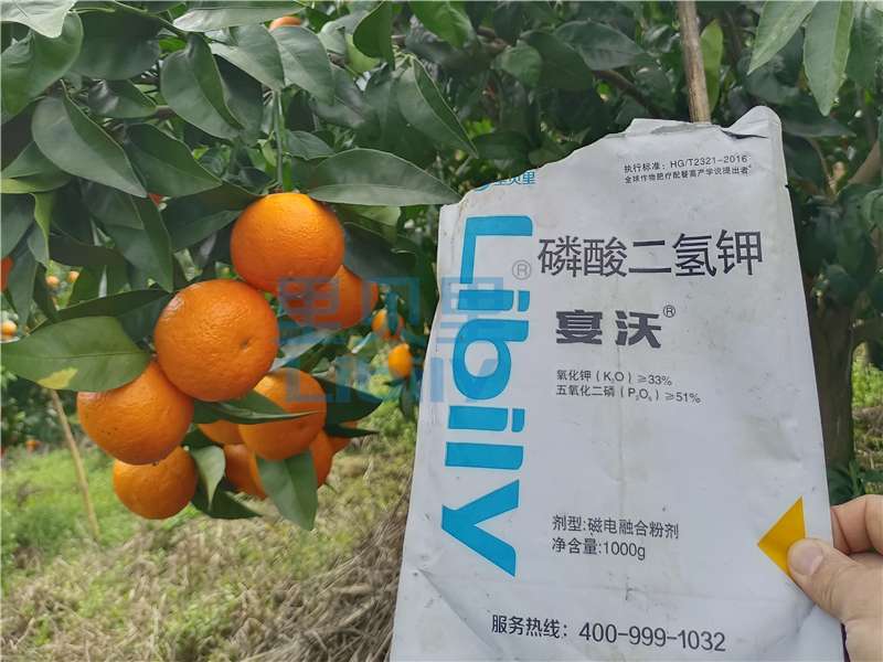 水溶肥廠家-宴沃柑橘
