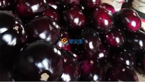 磷酸二氫鉀生產(chǎn)廠家，里貝里宴沃值得選擇
