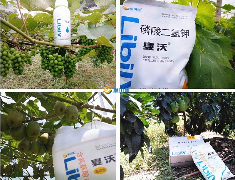 鄭州里貝里生物科技有限公司-作物使用效果