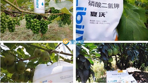 鄭州里貝里生物科技有限公司，你值得選擇