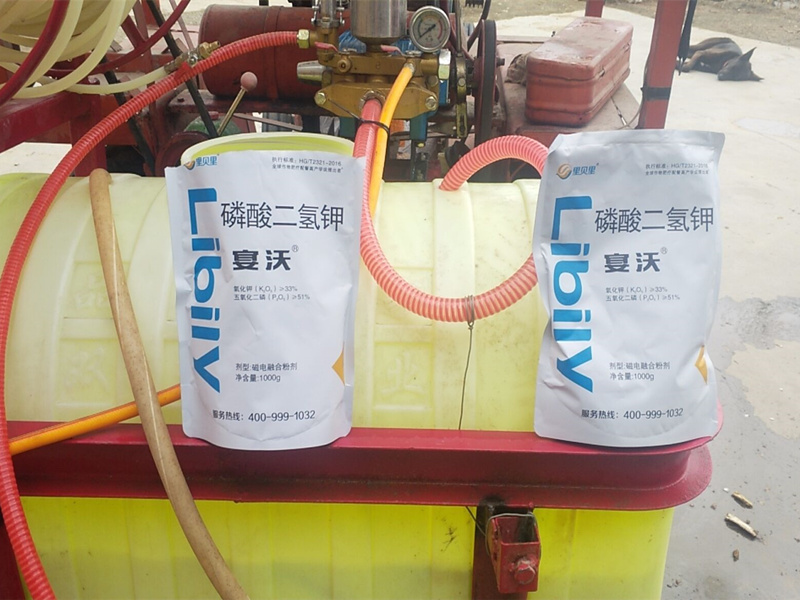 小麥用什么葉面肥好