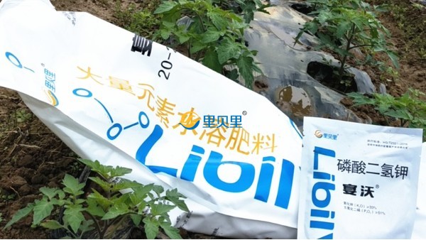 水溶肥哪家好？選這個(gè)廠家不會(huì)錯(cuò)