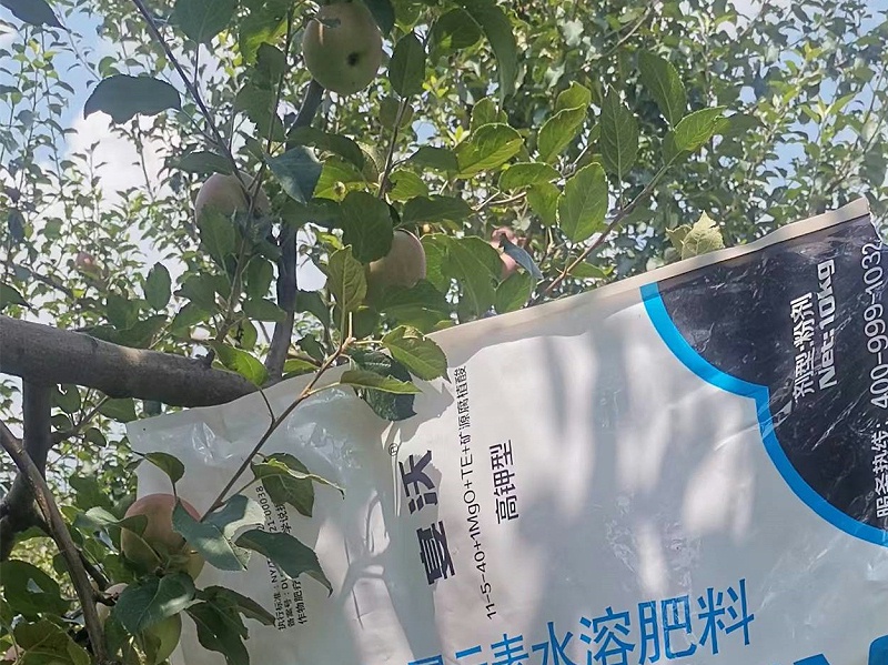 高鉀型大量元素水溶肥—四川黃老板蘋果